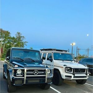 Meet your Posher, Roy